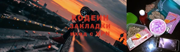 ECSTASY Богданович