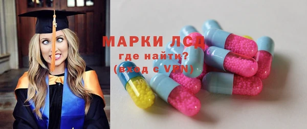 ECSTASY Богданович