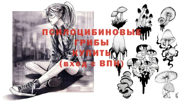 шишки Беломорск