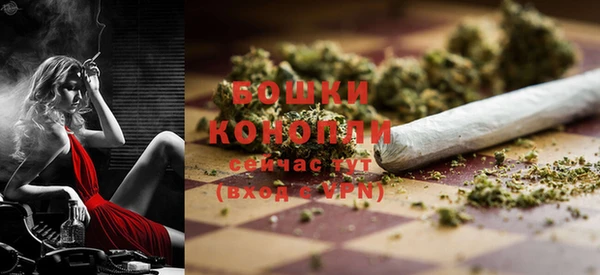 шишки Беломорск