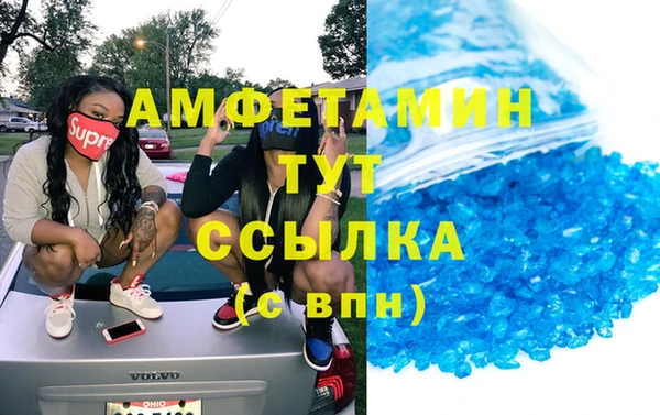 шишки Беломорск